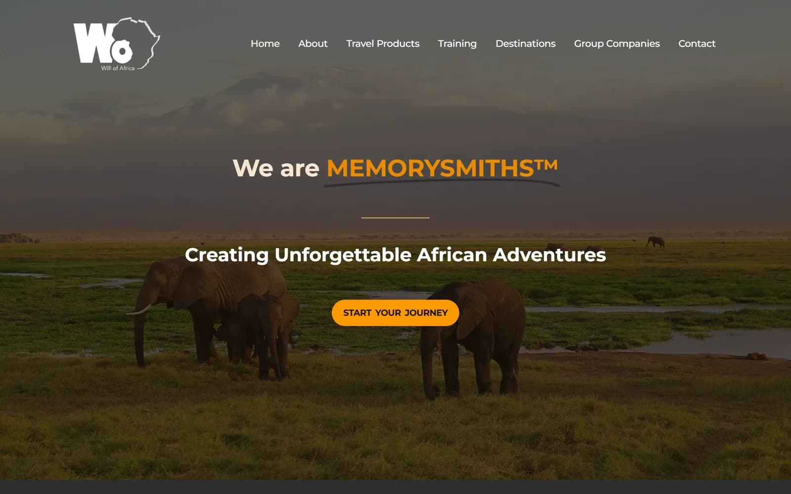 Will of Africa website homepage on a desktop screen